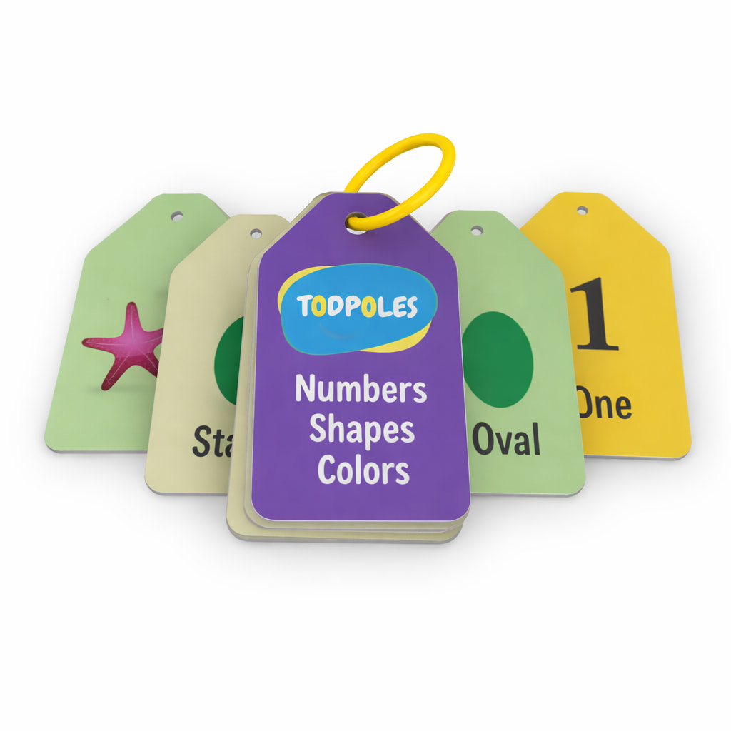 Todpoles Numbers, Shapes and Colors flash cards for kids